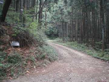 浅間林道