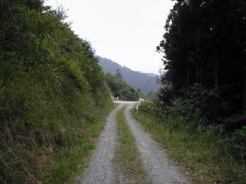浅間林道