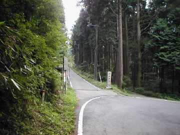 大日中塚林道