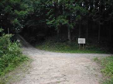 舞木林道
