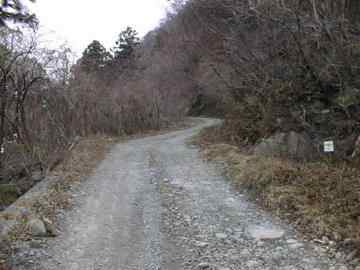 奈良本林道