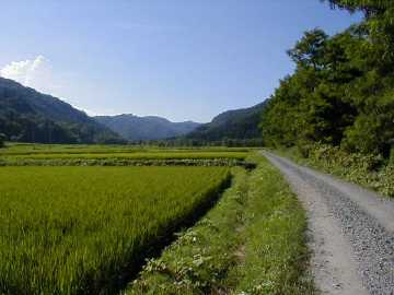 西の又林道・長木沢林道