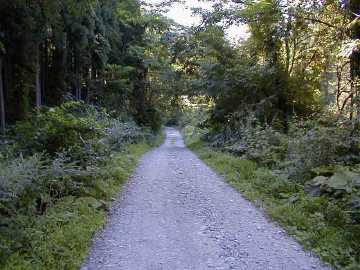 西の又林道・長木沢林道