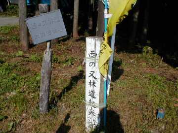 西の又林道・長木沢林道