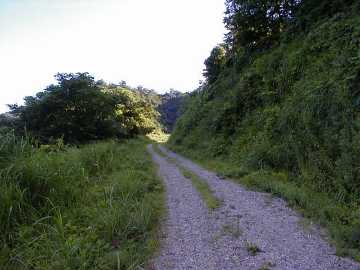 大日向林道