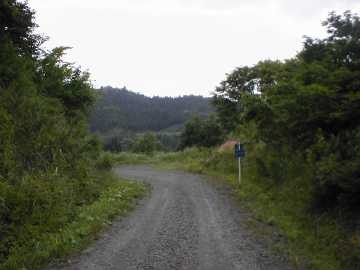 大日向林道