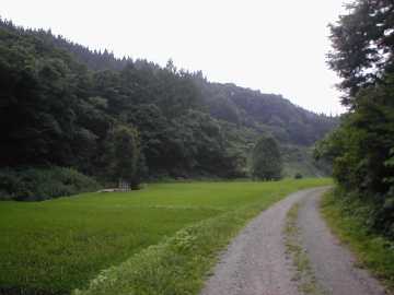 大日向林道