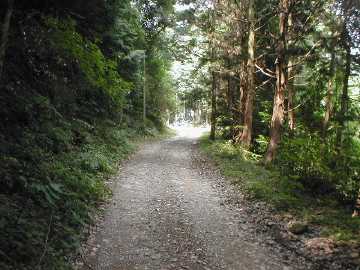 奥山林道
