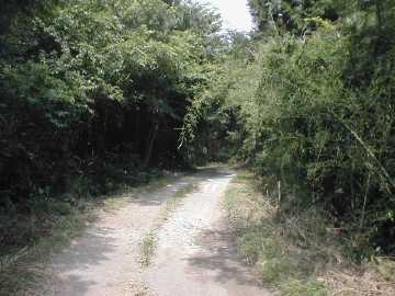 奥山林道