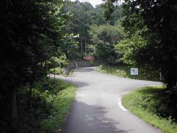 奥山林道
