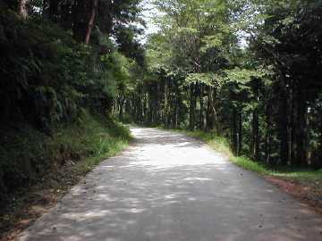 奥山林道