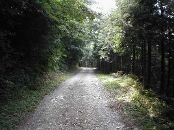 奥山林道