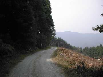 奥山林道