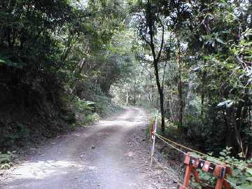 奥山林道