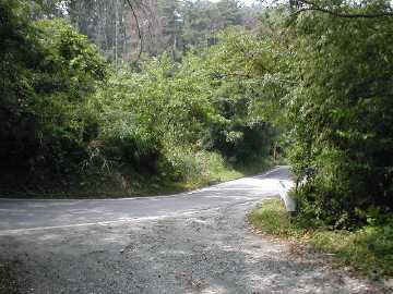 奥山林道