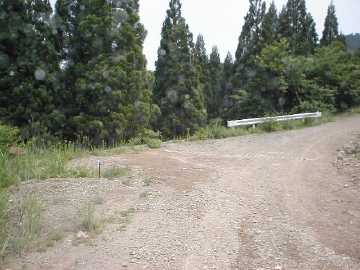 十根川林道・奥畑林道