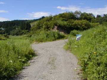 タタラ沢林道
