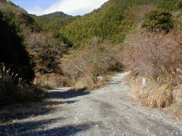 大鍋林道