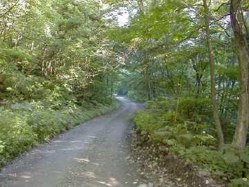 赤石川林道