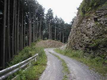 六田沢栃木林道