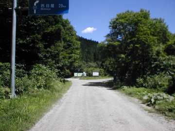 県道317(藤琴林道)