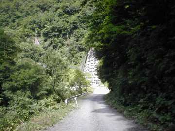 県道317(藤琴林道)
