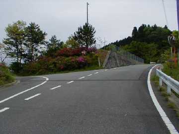和田越南川林道