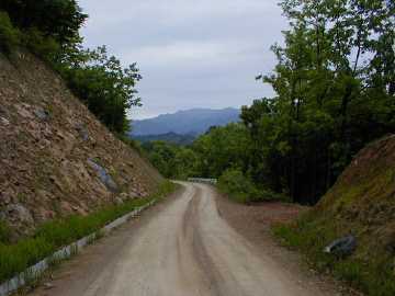 和田越南川林道
