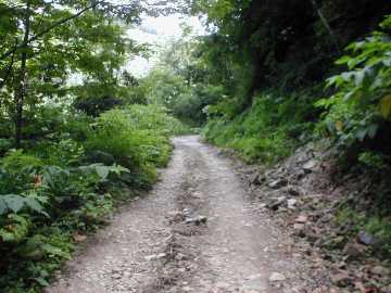 田代相馬林道