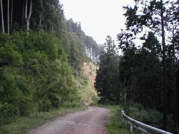 春埜山林道