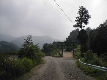 春埜山林道