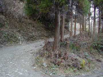 村道造次郎山線