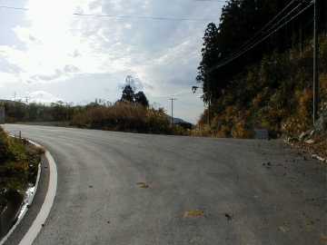白川富貴野林道