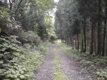 上野々林道