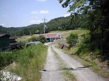 赤柴林道
