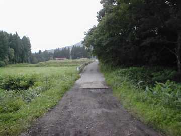 上野々林道