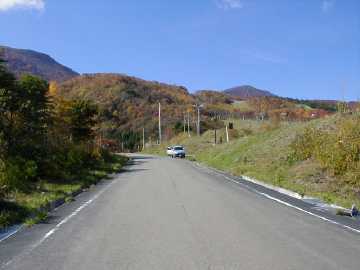 大平桑沼林道