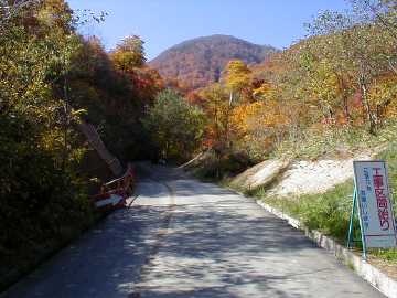 大平桑沼林道