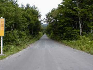 県道242（後平青森線）