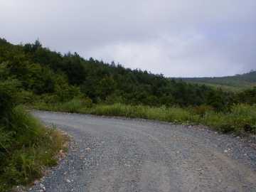 県道242（後平青森線）
