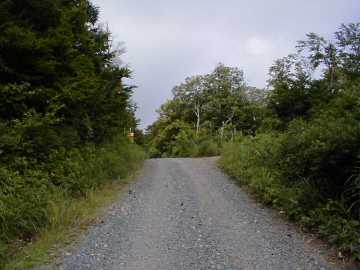 県道242（後平青森線）