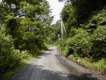 県道242（後平青森線）