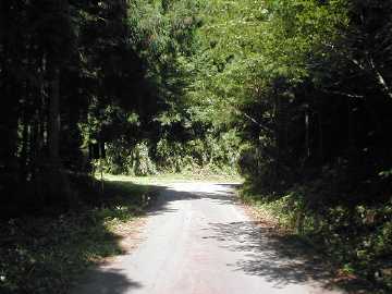 和山間林道