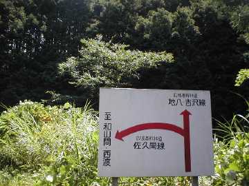 和山間林道