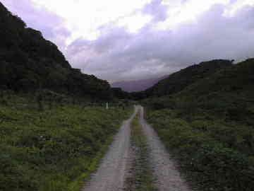 築沢林道