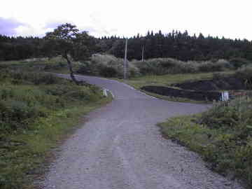 築沢林道
