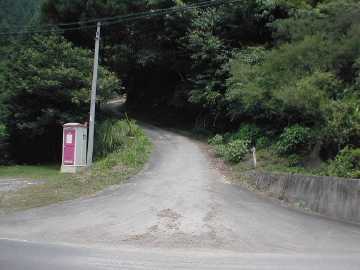横沢林道