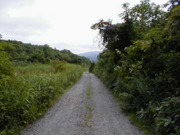 大畑林道