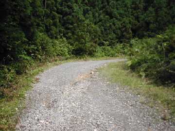 築沢林道