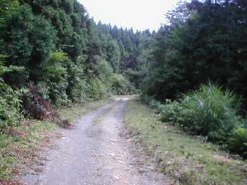 築沢林道